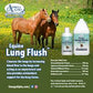 Omega Alpha Healthy Horse 4L