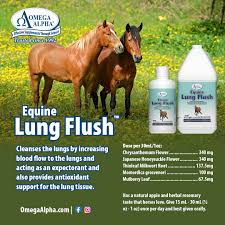 Omega Alpha Healthy Horse 4L