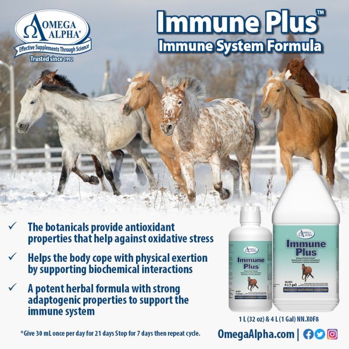 Omega Alpha Healthy Horse 4L