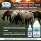 Omega Alpha Healthy Horse 4L
