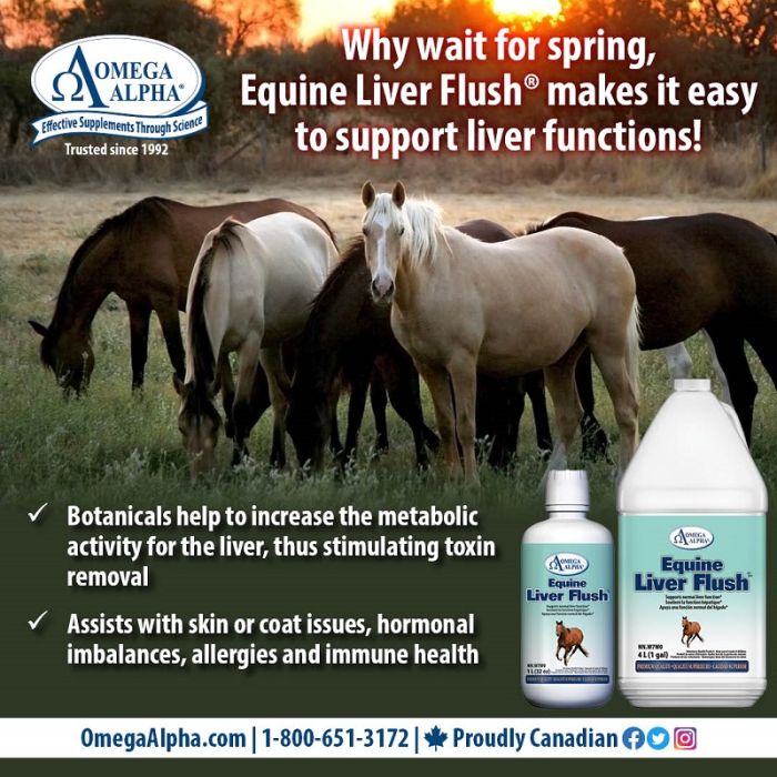 Omega Alpha Healthy Horse 4L