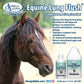 Omega Alpha Healthy Horse 4L