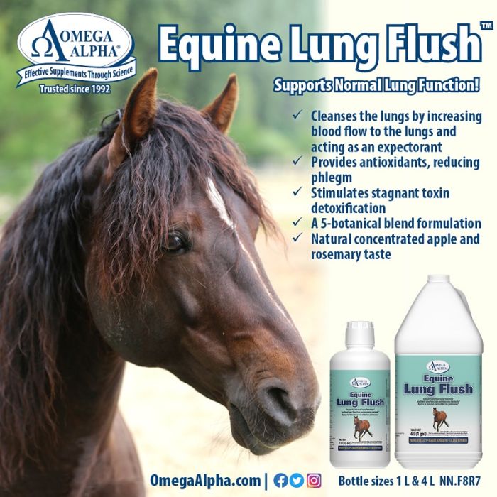 Omega Alpha Healthy Horse 4L