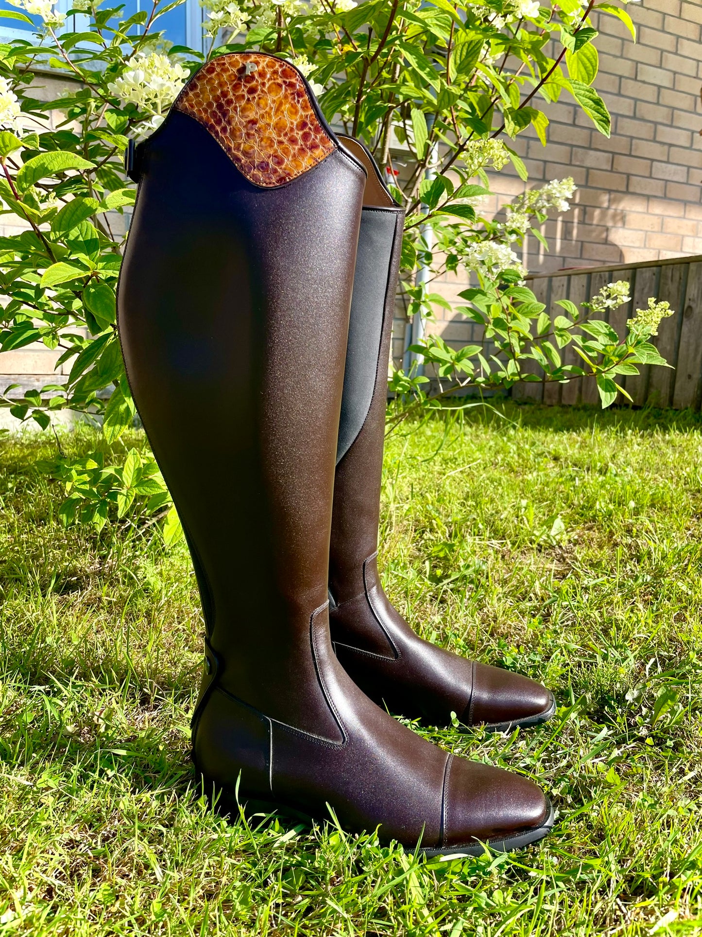 Petrie Palermo Dressage Boot - Brown, Cuff - London Croco M126 40 XW (48/41)