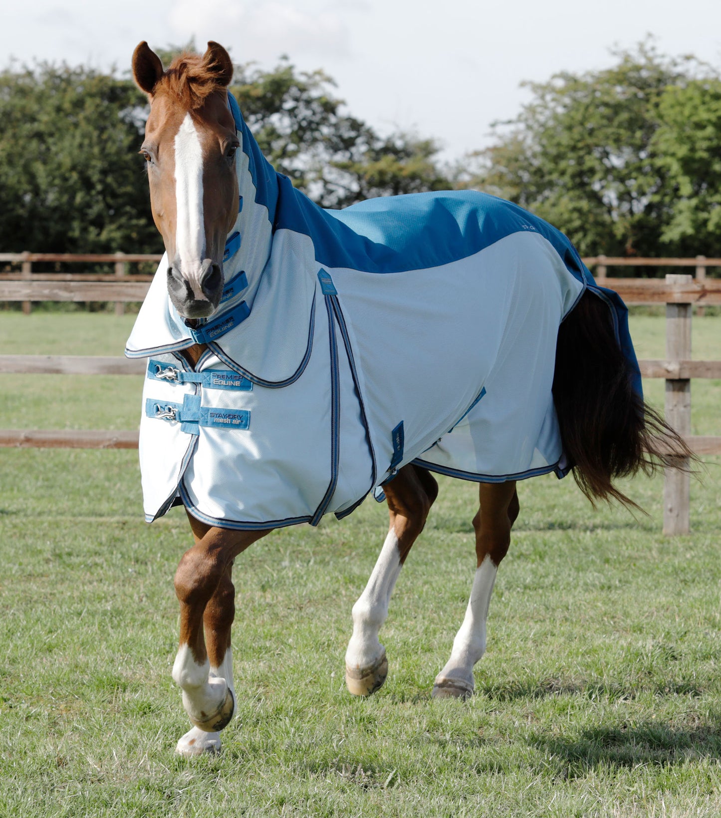 Premier Equine UK Buster Stay-Dry Mesh Air Fly Rug with Surcingles Blue 6’6”/78”