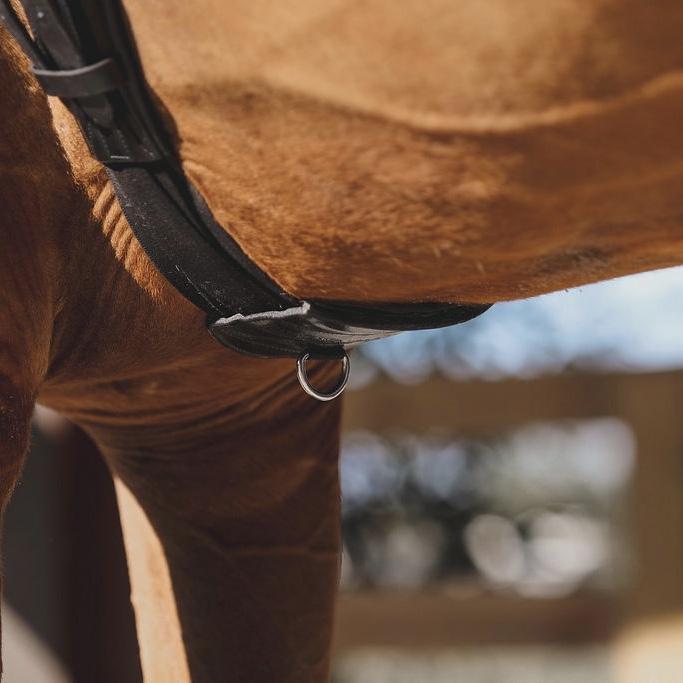 Tapestry Comfort Dressage/Monoflap Girth Sizes 24"- 34" Havana