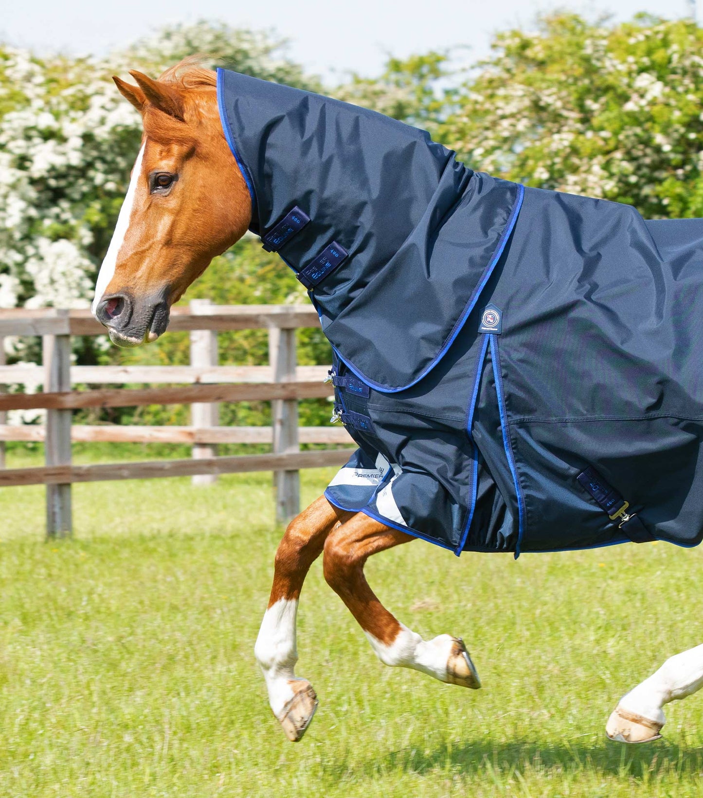 Premier Equine UK Buster 40g Turnout Rug with Classic Neck Cover Navy 6’9”/81”