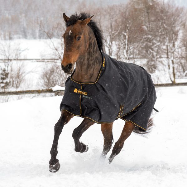Bucas Irish Turnout 0gr Rain sheet Black & Gold - 66"/72"/75"/78"/81"