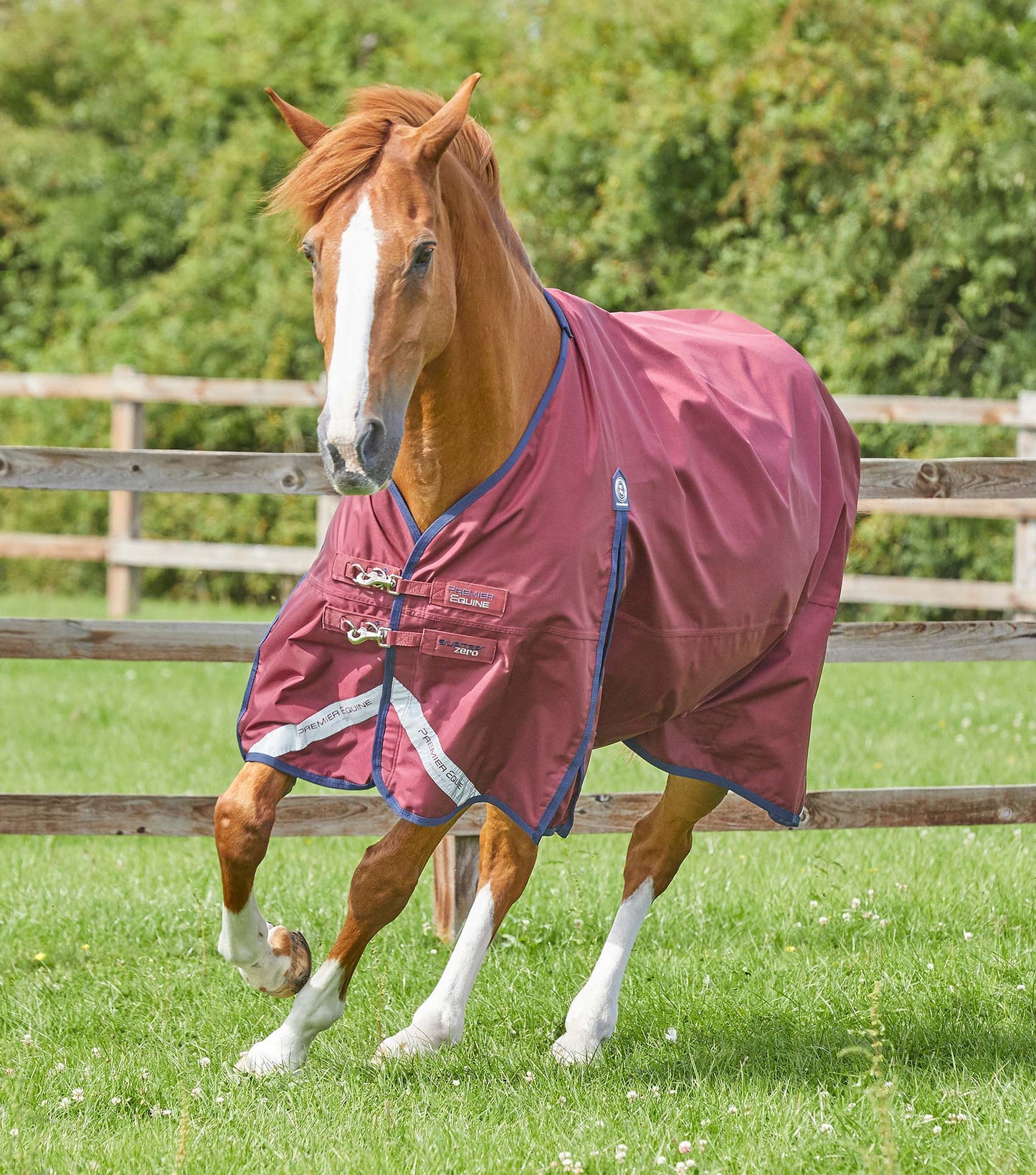 Premier Equine UK Buster Zero gram Original Turnout Rug/Rain Sheet Burgundy 6’3”/75”