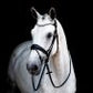 Stübben SWITCH BRIDLE – (Switches from Snaffle to Double!) MAGICTACK - Full Size Black