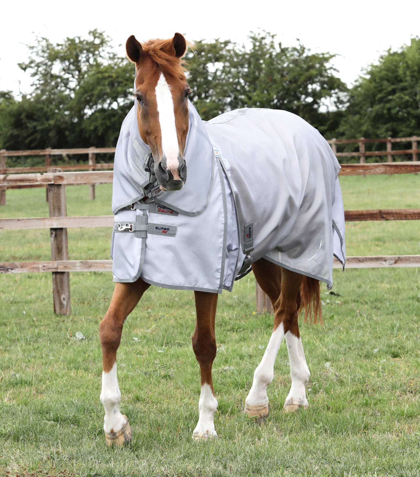 Premier Equine UK Super Lite Fly Rug with Surcingles - Silver (75” or 78” or 81”)